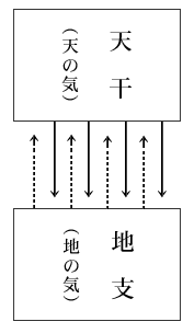 天干（天の気）と地干（地の気）の相関関係図