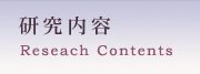 研究内容